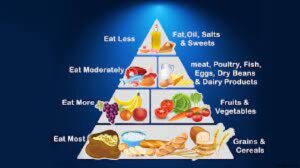 খাদ্যের কাজ । Functions of Food 3 খাদ্যের কাজ । Functions of Food