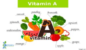 চর্বিতে দ্রবণীয় ভিটামিন এ । Fat soluble Vitamin-A 3 চর্বিতে দ্রবণীয় ভিটামিন এ । Fat soluble Vitamin-A