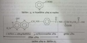 ভিটামিন বা খাদ্যপ্ৰাণ ভিটামিন বা খাদ্যপ্ৰাণ । Vitamins