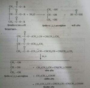 স্নেহজাতীয় বা চর্বিজাতীয় খাদ্য । Fats