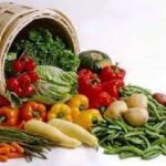 পুষ্টিতে খনিজ উপাদানের ভূমিকা । The Role of Minerals In Nutritions