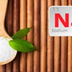 পুষ্টিতে সোডিয়ামের ভূমিকা : সোডিয়াম প্রাণরাসায়নিক কাজ