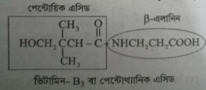 ভিটামিন বি৩ কমপ্লেক্স বা পেন্টোথ্যানিক এসিড । Vitamin-B3 complex or Pantothanic Acid 3 ভিটামিন বি৩ কমপ্লেক্স বা পেন্টোথ্যানিক এসিড । Vitamin-B3 complex or Pantothanic Acid