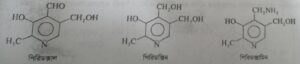 ভিটামিন বি৬ কমপ্লেক্স বা পিরিডক্সিন । Vitamin B6 complex or Pyridoxine
