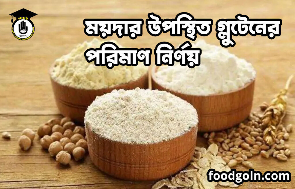 ময়দার উপস্থিত গ্লুটেনের পরিমাণ নির্ণয় | ফুড প্রেসেরভেশন