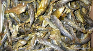 প্রোটিন জাতীয় খাবার । আমিষ খাবার 38 শুটকি মাছ, خشک مچھلی , Dried Fish, السمك المجفف , सूखी मछली