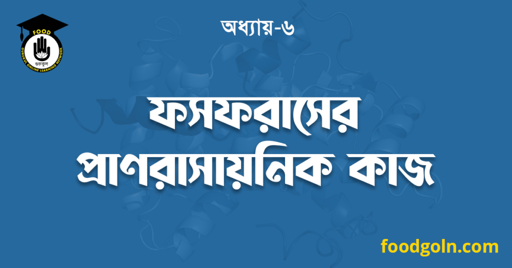 ফসফরাসের প্রাণরাসায়নিক কাজ 7 ফসফরাসের প্রাণরাসায়নিক কাজ
