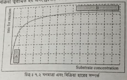 সাবস্ট্রেট এর প্রভাব বর্ণনা 2 সাবস্ট্রেট এর প্রভাব বর্ণনা কর