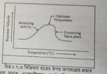 সাবস্ট্রেট এর প্রভাব বর্ণনা 3 সাবস্ট্রেট এর প্রভাব বর্ণনা কর