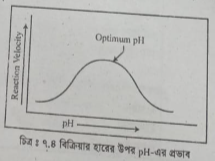 সাবস্ট্রেট এর প্রভাব বর্ণনা 4 সাবস্ট্রেট এর প্রভাব বর্ণনা কর