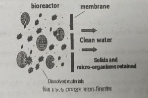 ফটো বায়ো-রিয়্যাক্টর 4 মেমব্রেন বায়ো-রিয়্যাক্টর