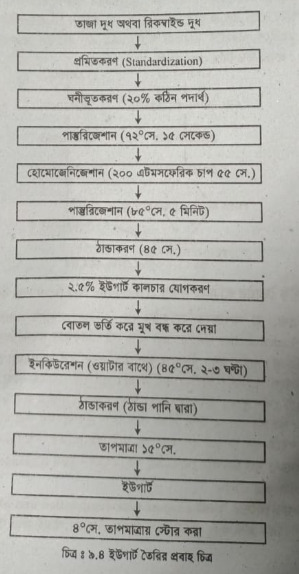 ইউগার্ট (দধি) পানীয় তৈরির প্রক্রিয়া বর্ণনা 
