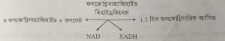 এনজাইমের শ্রেণিবিভাগ এবং উৎস 