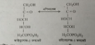 এনজাইমের শ্রেণিবিভাগ এবং উৎস 