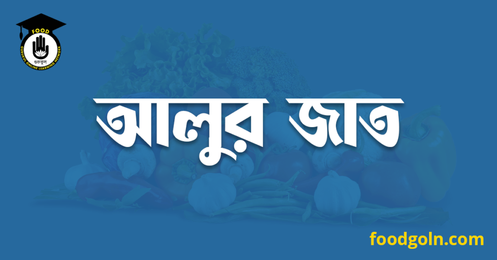 আলুর জাত 11 আলুর জাত