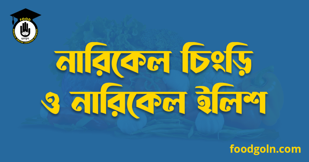 নারিকেল চিংড়ি ও নারিকেল ইলিশ 7 নারিকেল চিংড়ি ও নারিকেল ইলিশ