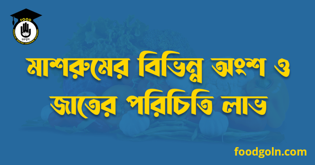 মাশরুমের বিভিন্ন অংশ ও জাতের পরিচিতি লাভ 7 মাশরুমের বিভিন্ন অংশ ও জাতের পরিচিতি লাভ