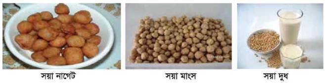 শিল্পজাত সয়া খাদ্য 2 শিল্পজাত সয়া খাদ্য