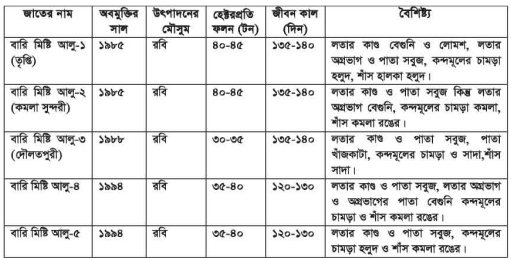 মিষ্টি আলুর পুষ্টিমান ও জাত 4 মিষ্টি আলুর পুষ্টিমান ও জাত