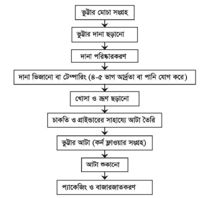 ভুট্টা মিলিং 3 ভুট্টা মিলিং