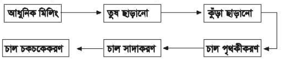 ধান মিলিং 3 ধান মিলিং