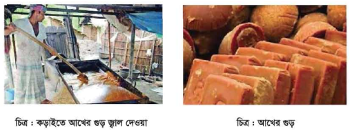 আখের রস নিষ্কাশনের বিভিন্ন ধাপ 3 আখের রস নিষ্কাশনের বিভিন্ন ধাপ