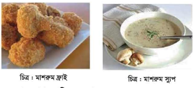 মাশরুমের সংরক্ষণ 6 মাশরুম ফ্রাই