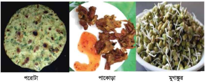 মুগ ডাল ও মটর ডাল থেকে বিভিন্ন খাদ্য তৈরি 2 মুগ ডাল ও মটর ডাল থেকে বিভিন্ন খাদ্য তৈরি