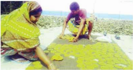 মুগ ডাল ও মটর ডাল থেকে বিভিন্ন খাদ্য তৈরি 3 মুগ ডাল ও মটর ডাল থেকে বিভিন্ন খাদ্য তৈরি