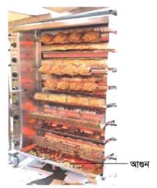 নারিকেল মুরগির গ্রিল 3 নারিকেল মুরগির গ্রিল
