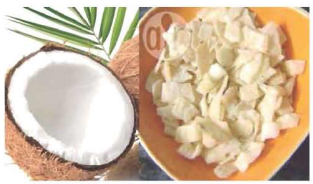 নারিকেল মুরগির গ্রিল 4 নারিকেল মুরগির গ্রিল