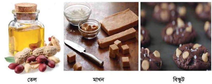 চীনাবাদাম থেকে উৎপাদিত বিভিন্ন খাদ্য