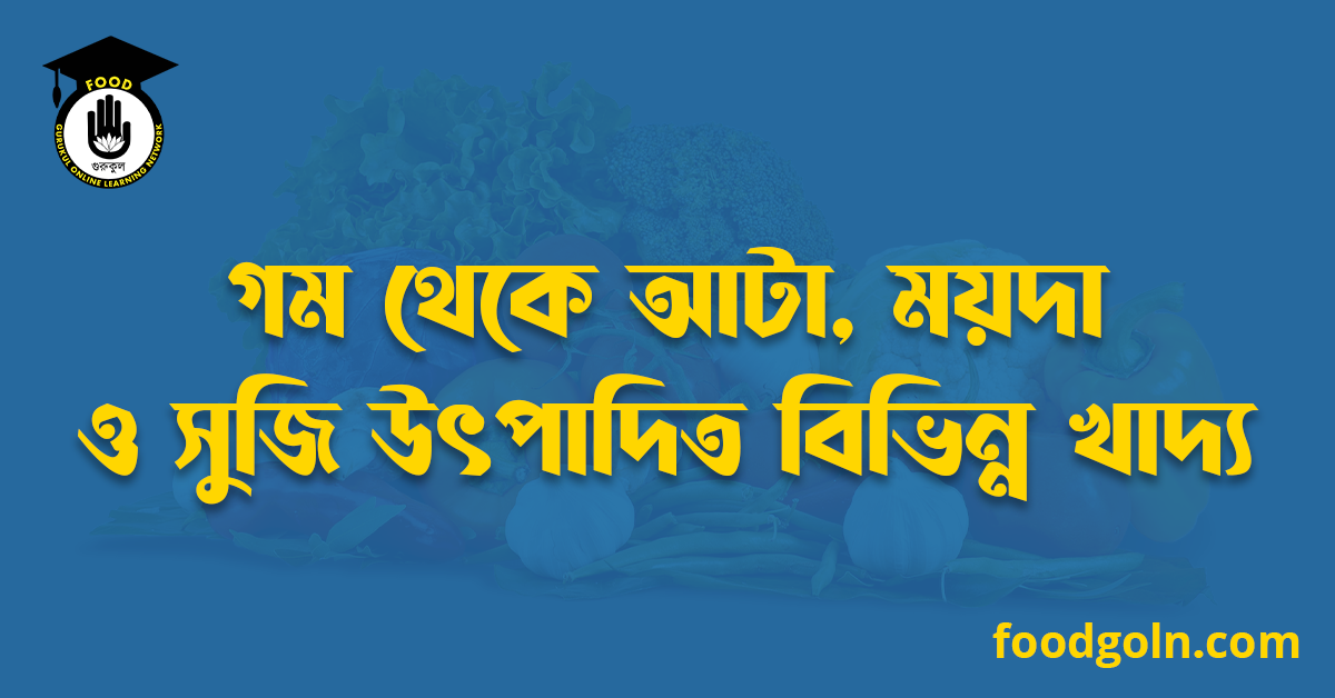 গম থেকে আটা, ময়দা ও সুজি উৎপাদিত বিভিন্ন খাদ্য 1 গম থেকে আটা, ময়দা ও সুজি উৎপাদিত বিভিন্ন খাদ্য