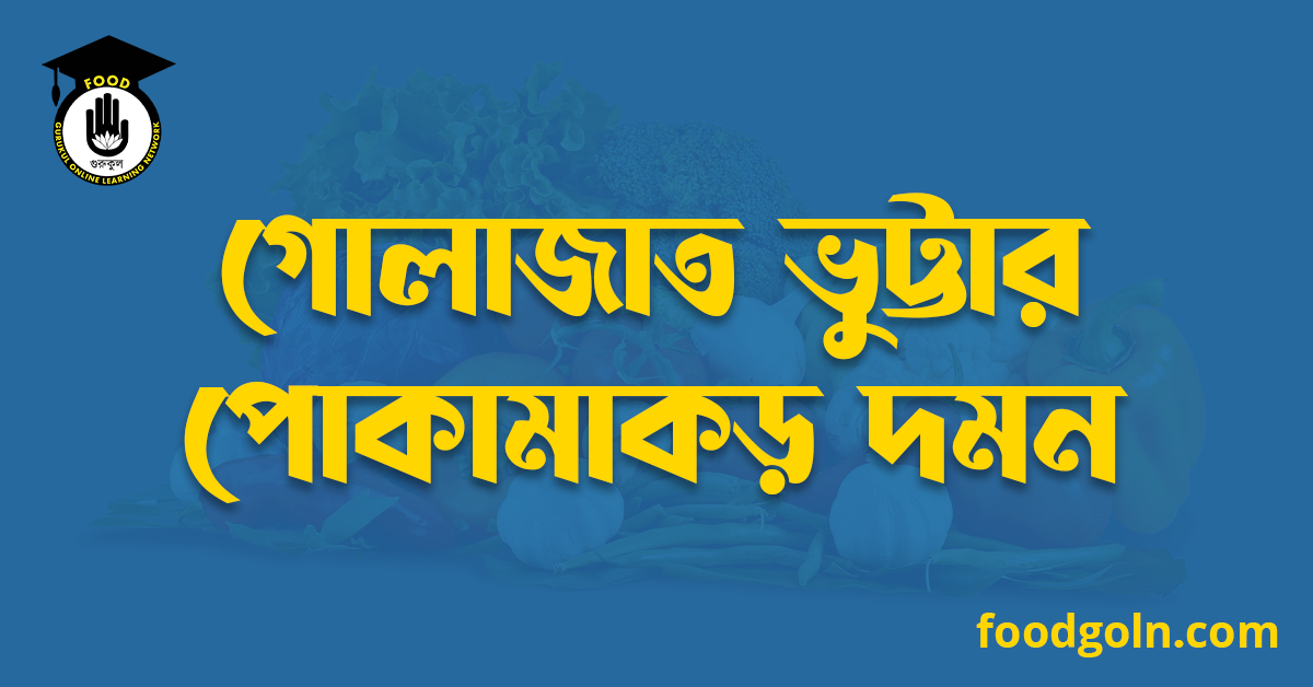 গোলাজাত ভুট্টার পোকামাকড় দমন 1 গোলাজাত ভুট্টার পোকামাকড় দমন