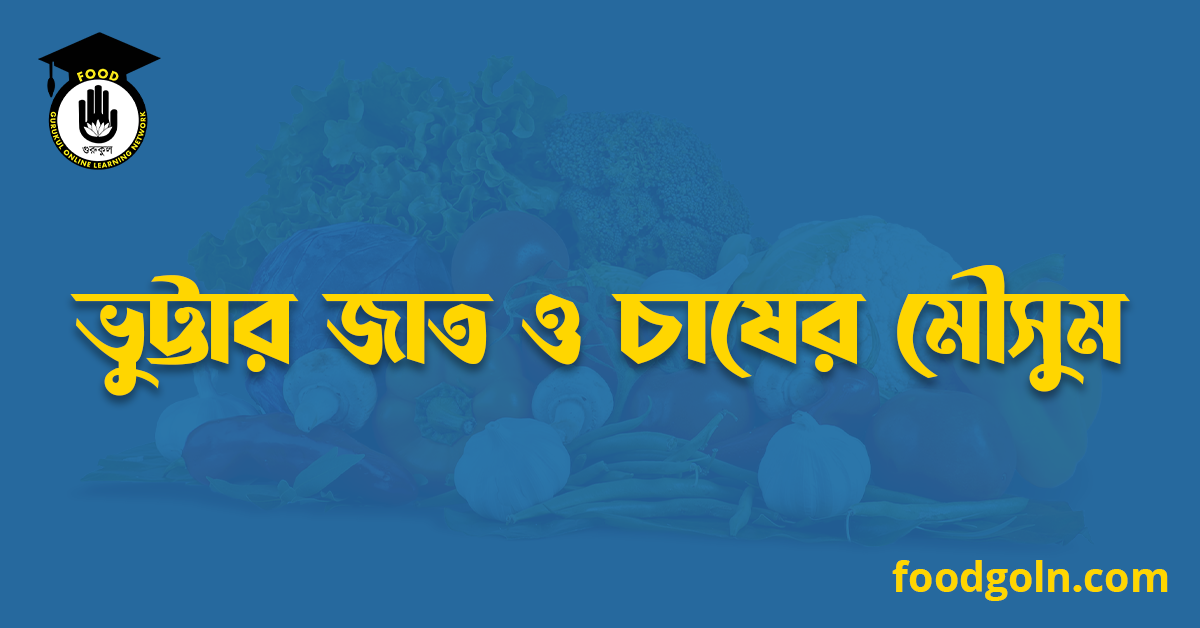 ভুট্টার জাত ও চাষের মৌসুম 1 ভুট্টার জাত ও চাষের মৌসুম