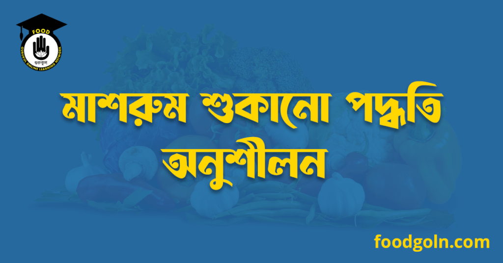 মাশরুম শুকানো পদ্ধতি অনুশীলন 8 মাশরুম শুকানো পদ্ধতি অনুশীলন