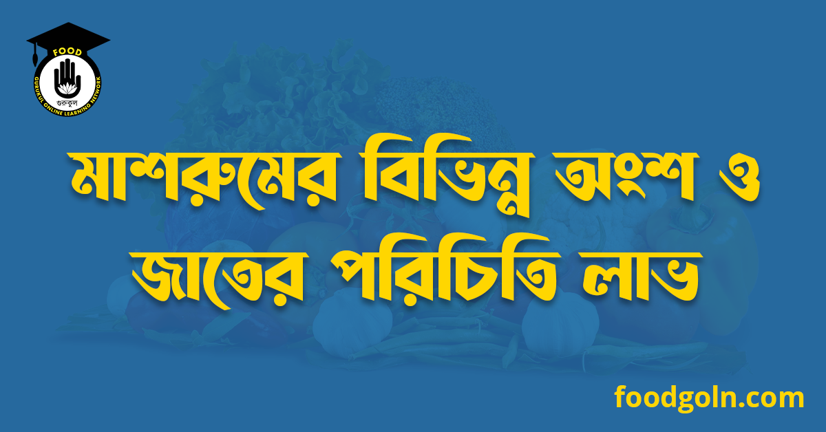 মাশরুমের বিভিন্ন অংশ ও জাতের পরিচিতি লাভ 1 মাশরুমের বিভিন্ন অংশ ও জাতের পরিচিতি লাভ
